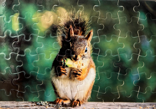 48 Piece A5 Handcrafted puzzle - squirrel puzzle